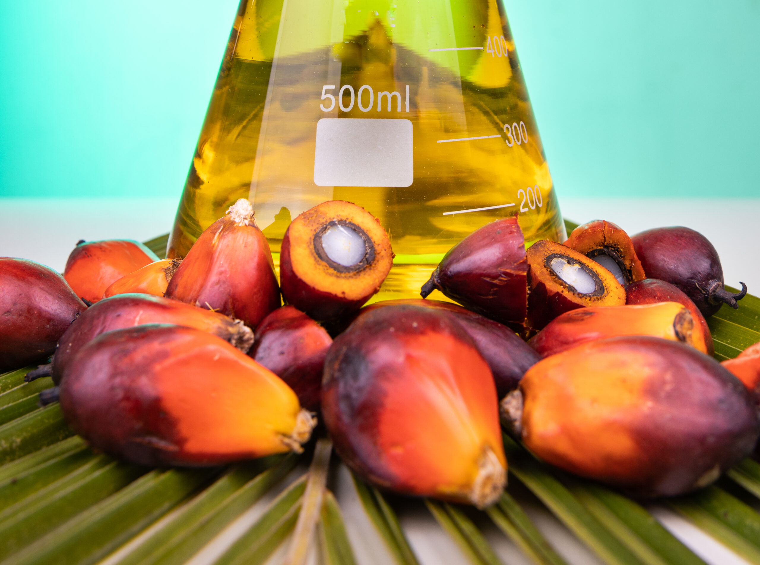 What is Palm Olein? How is it Different from Palm Oil?